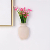 Silicone Wall Hanging Vase