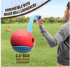 Cross-border Bestseller 3-Piece Pet Toy Set | Solid Rubber Dog Ball, Frisbee Chew Toy, Feeder, All-Around Protection for Your Dog