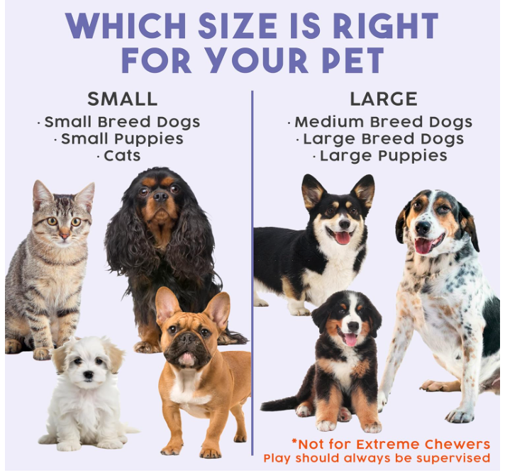 Cross-border Bestseller 3-Piece Pet Toy Set | Solid Rubber Dog Ball, Frisbee Chew Toy, Feeder, All-Around Protection for Your Dog