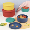 Round Silicone Lunch Box