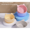 Silicone Feeding Bowl