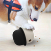 Pet Interactive Feeder