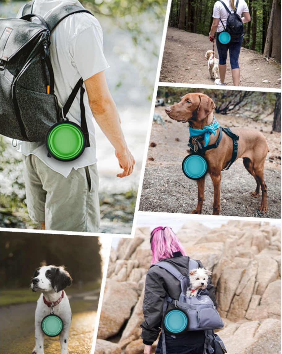 Pet Silicone Bowl