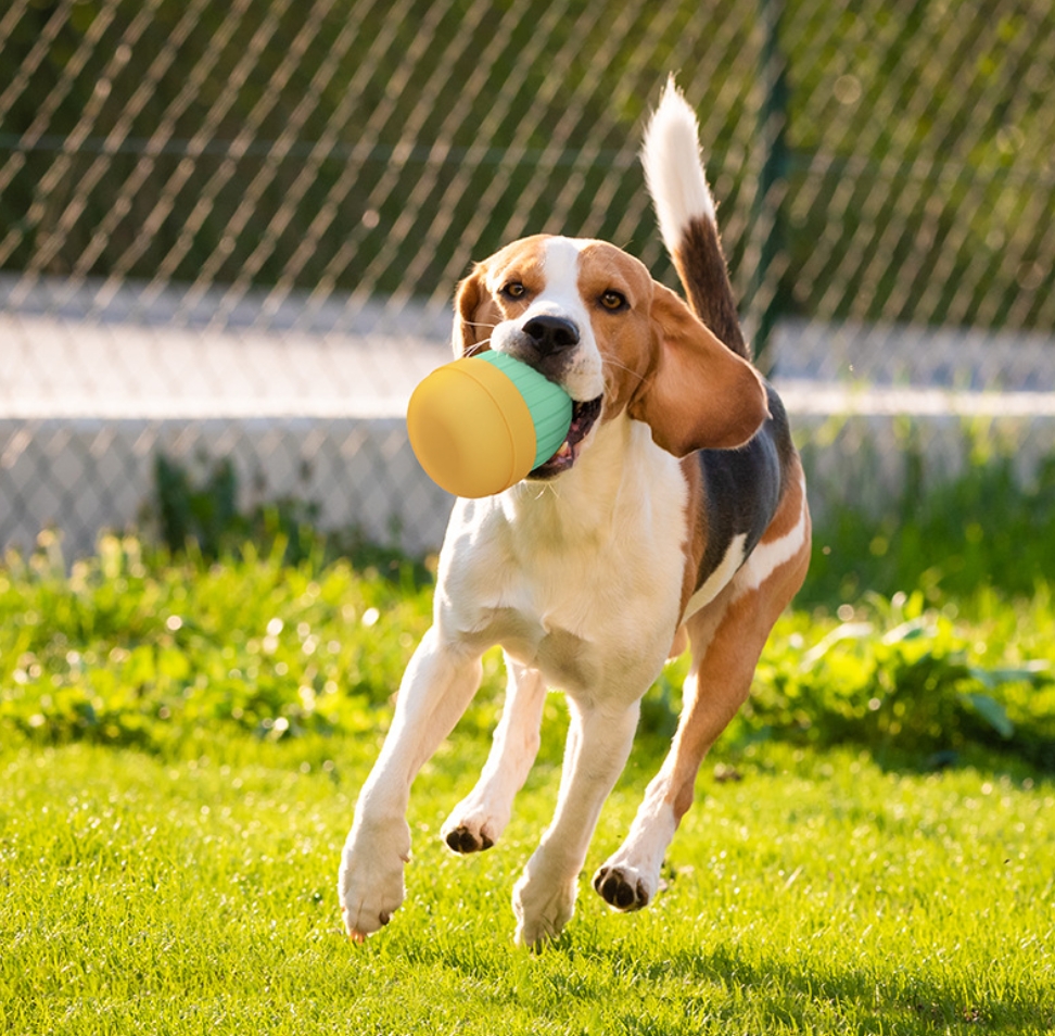 Pet Feeding Toys