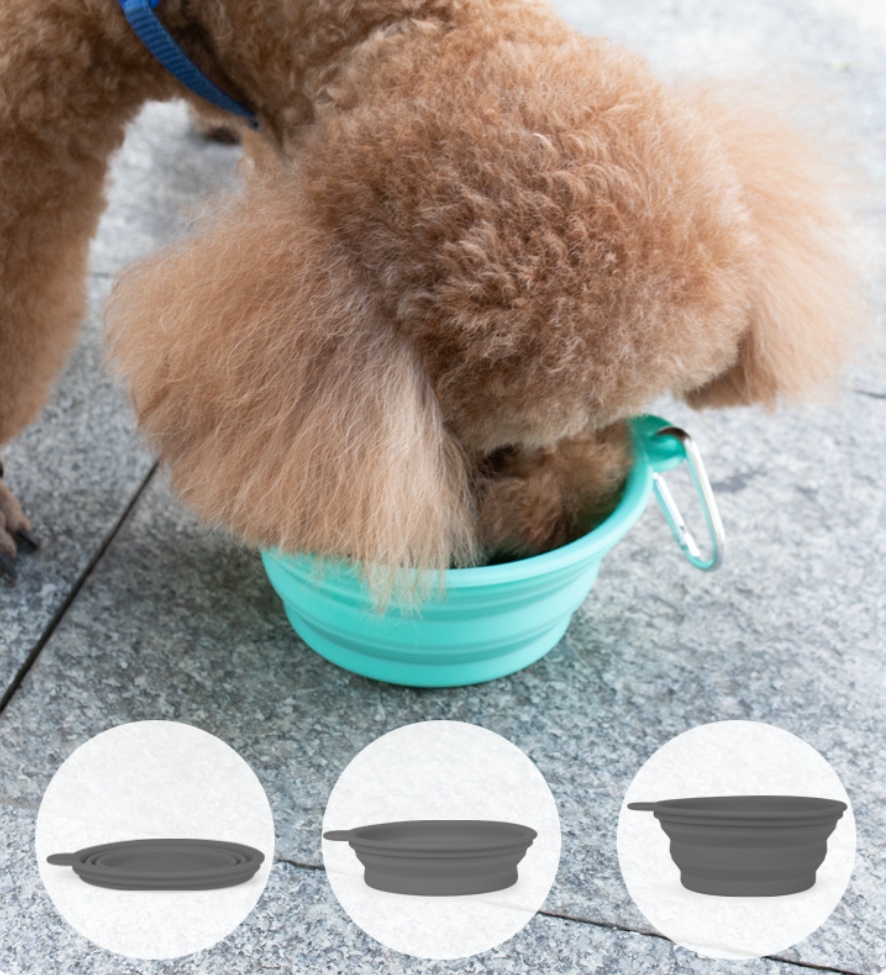 Silicone Folding Pet Bowl