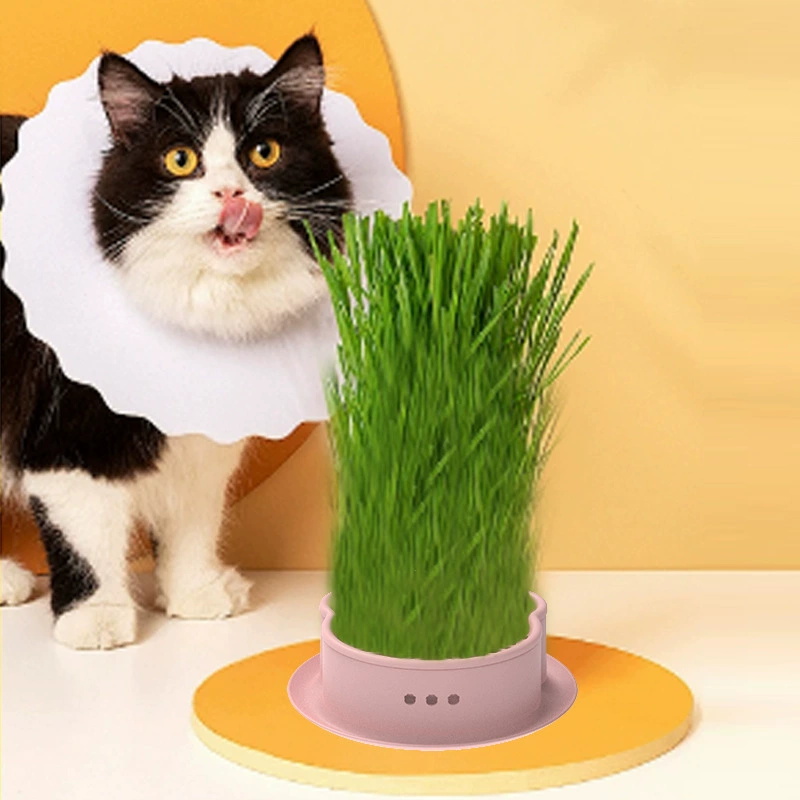 Silicone Cat Grass Cultivation Pot