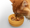 Pet Feeding Toys
