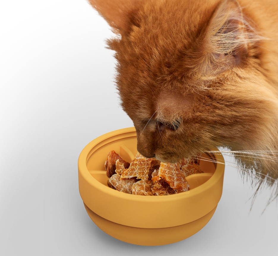 Pet Feeding Toys