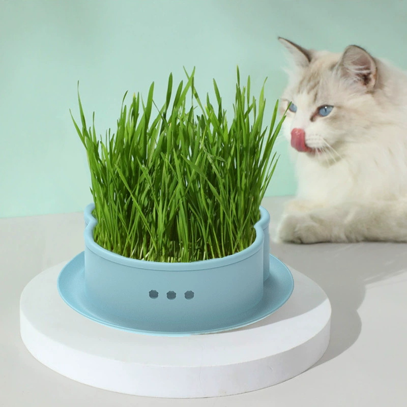 Silicone Cat Grass Cultivation Pot