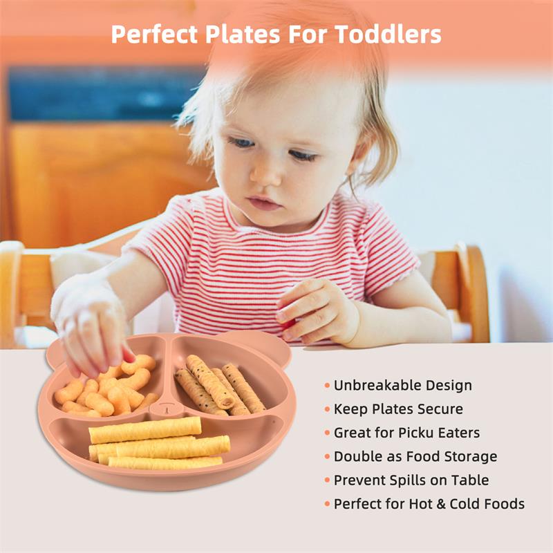 Divided Food Tray