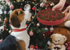Christmas Pattern Pet Slow Food Bowl