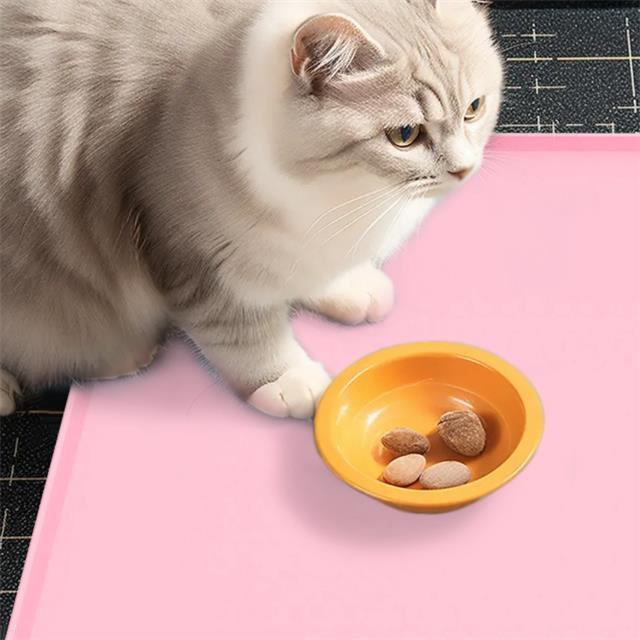 Silicone Pet Food Mat