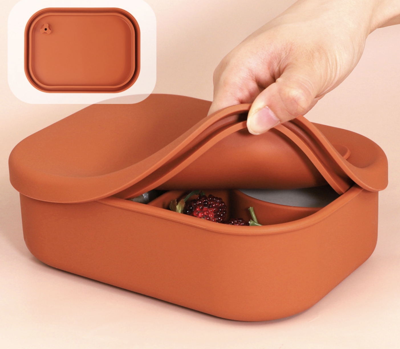 Silicone Compartment Lunch Box