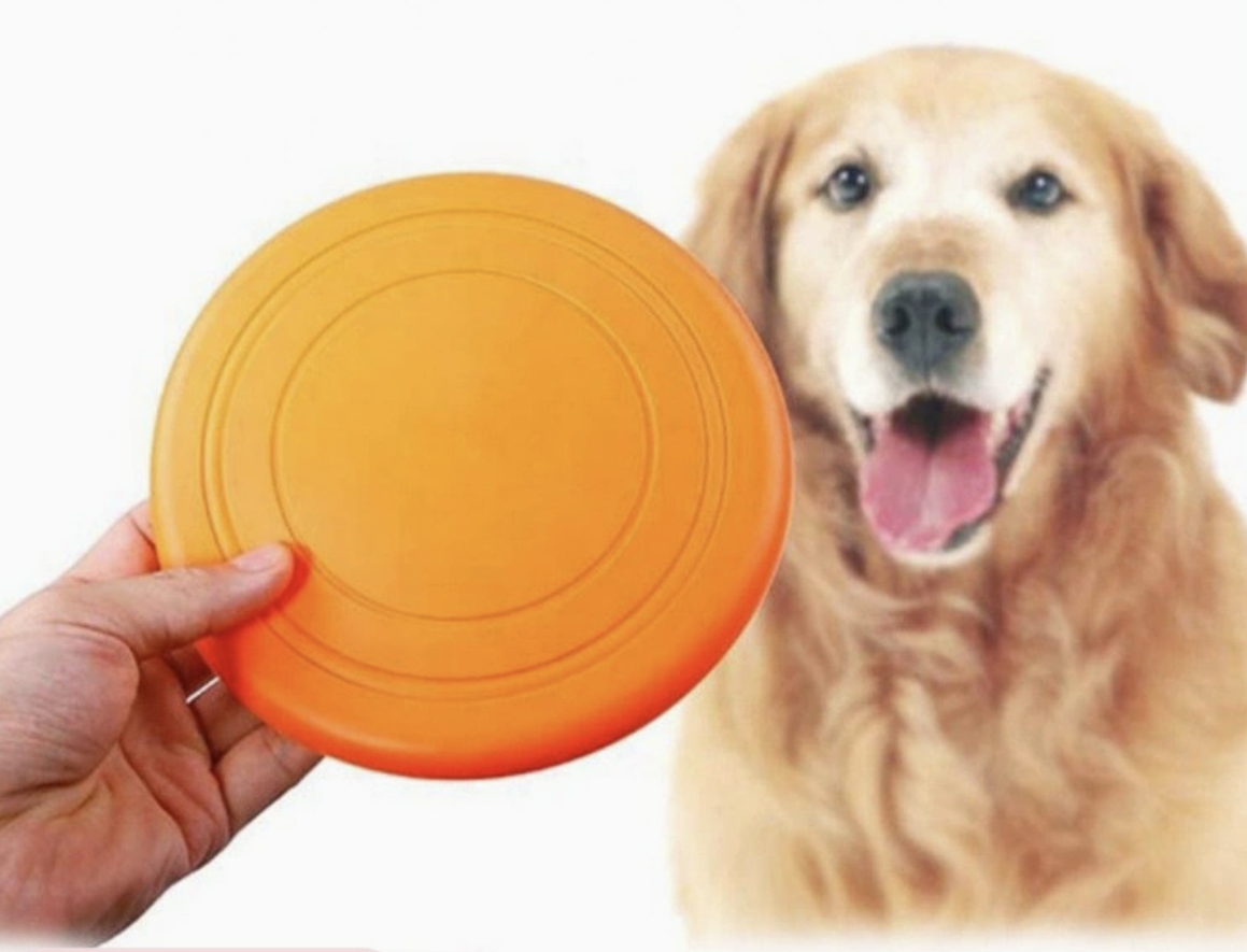 Silicone Dog Frisbee
