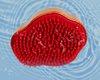 Newborn Baby Silicone Soft Hair Shampoo Brush